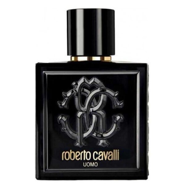 Roberto Cavali Uomo Edt 100ml